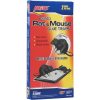PIC(R) GT-2 Rat & Mouse Glue Trays